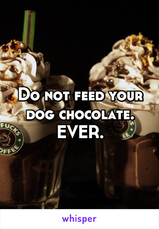 Do not feed your dog chocolate. EVER.