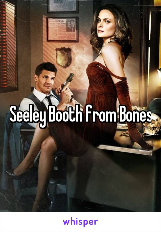Seeley Booth from Bones