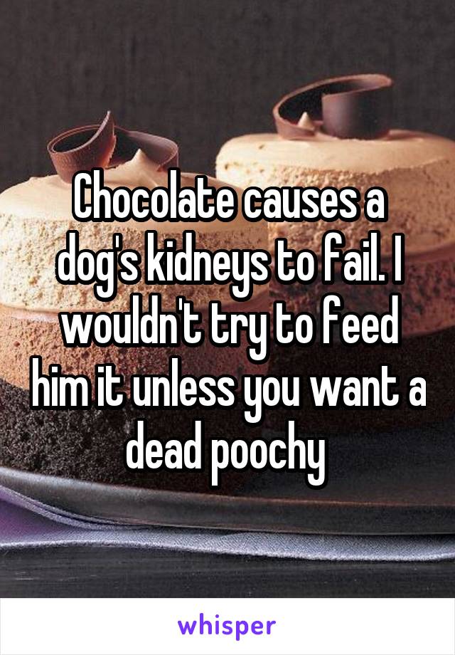 Chocolate causes a dog's kidneys to fail. I wouldn't try to feed him it unless you want a dead poochy 