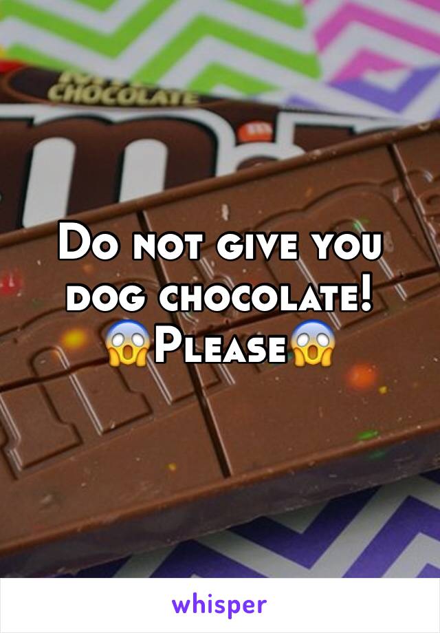 Do not give you dog chocolate!
😱Please😱