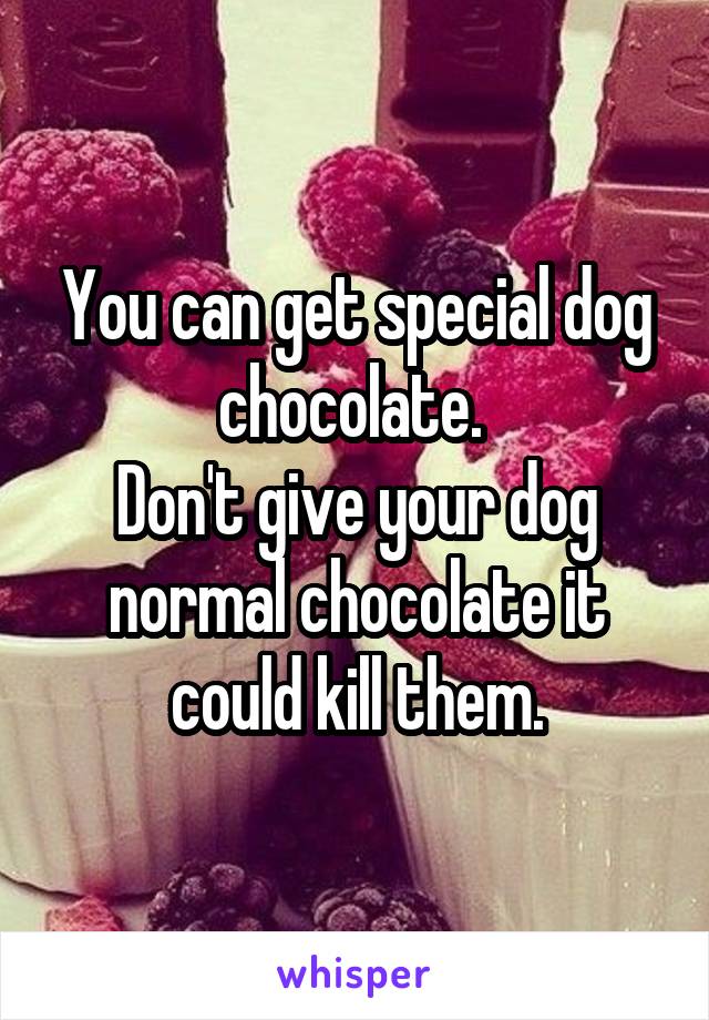 You can get special dog chocolate. 
Don't give your dog normal chocolate it could kill them.