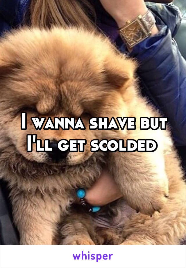 I wanna shave but I'll get scolded 
