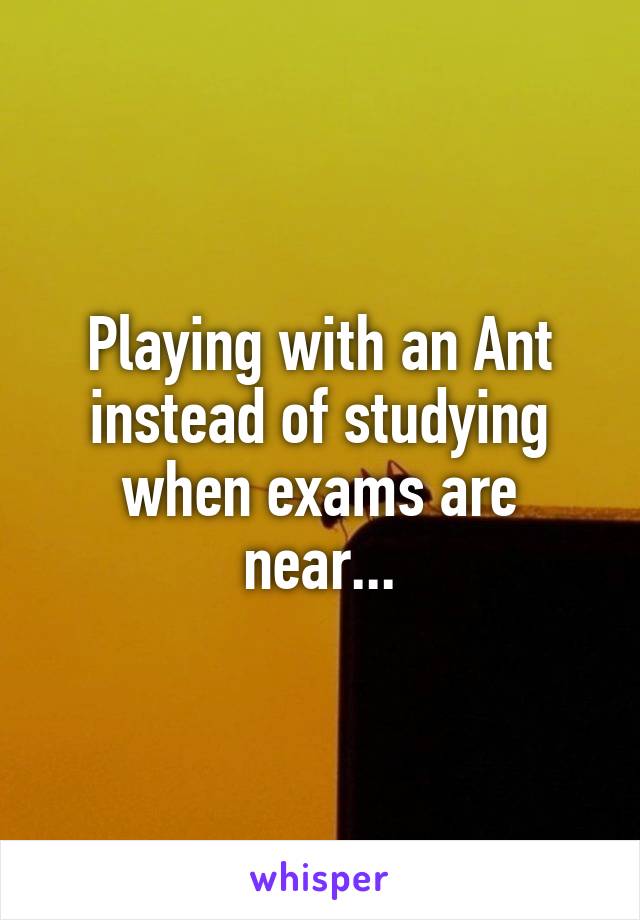 Playing with an Ant instead of studying when exams are near...