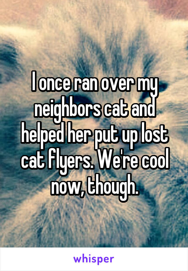 I once ran over my neighbors cat and helped her put up lost cat flyers. We're cool now, though.