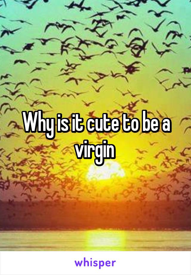 Why is it cute to be a virgin 