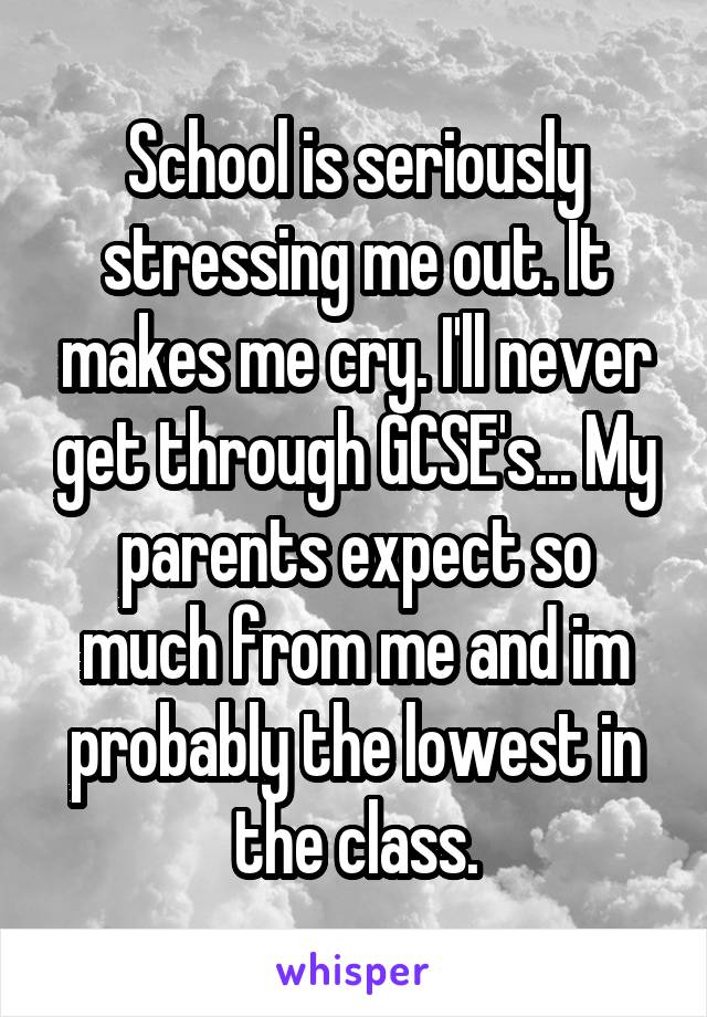 School is seriously stressing me out. It makes me cry. I'll never get through GCSE's... My parents expect so much from me and im probably the lowest in the class.