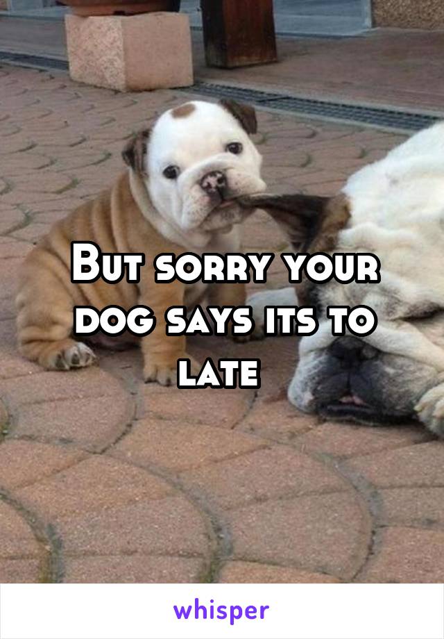 But sorry your dog says its to late 