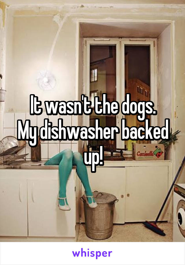 It wasn't the dogs.
My dishwasher backed up!