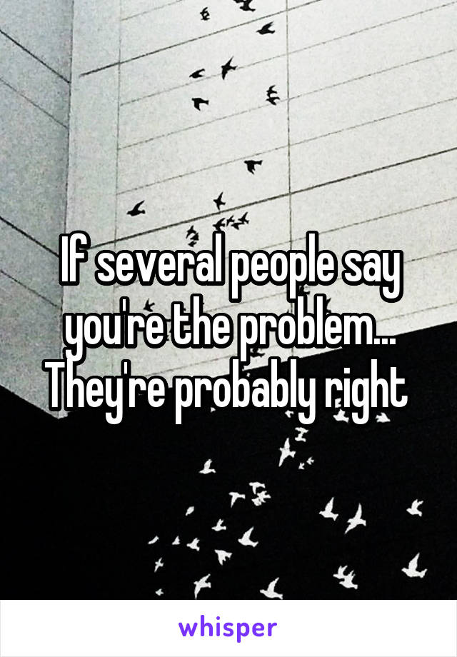 If several people say you're the problem... They're probably right 