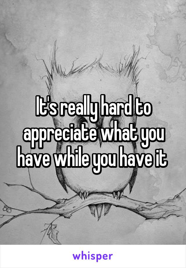 It's really hard to appreciate what you have while you have it 