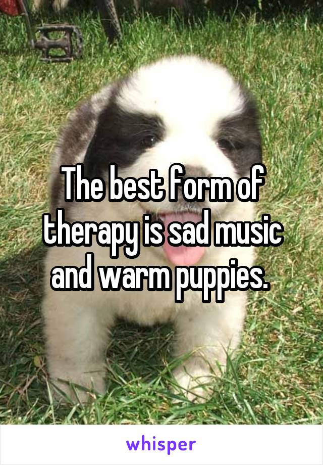 The best form of therapy is sad music and warm puppies. 