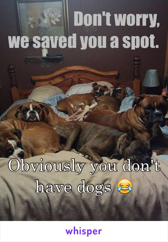 Obviously you don't have dogs 😂