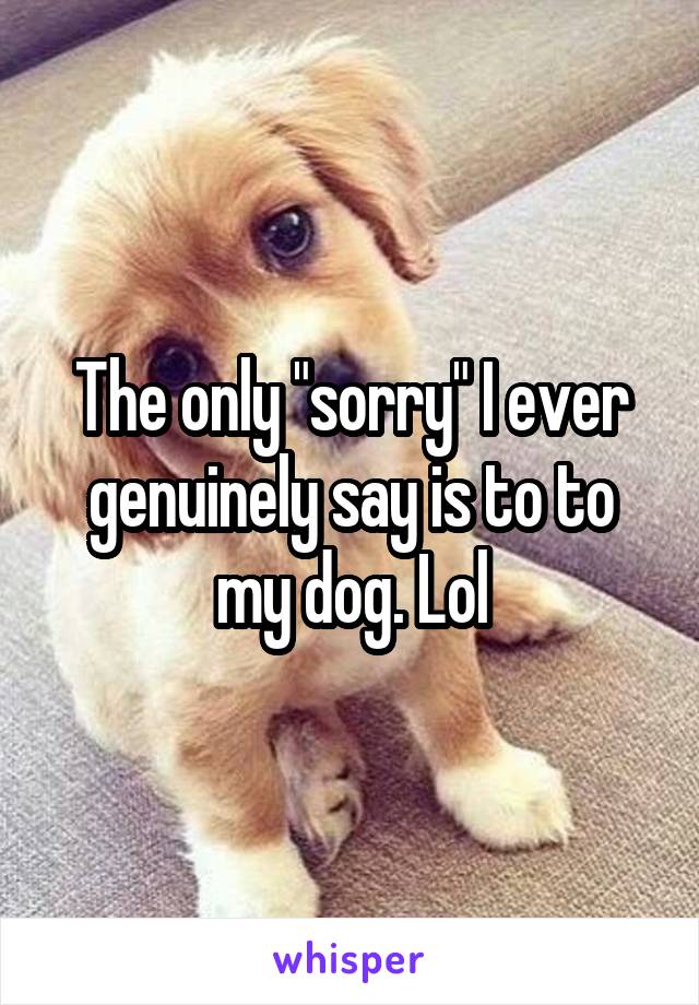 The only "sorry" I ever genuinely say is to to my dog. Lol