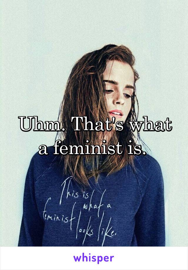 Uhm. That's what a feminist is. 