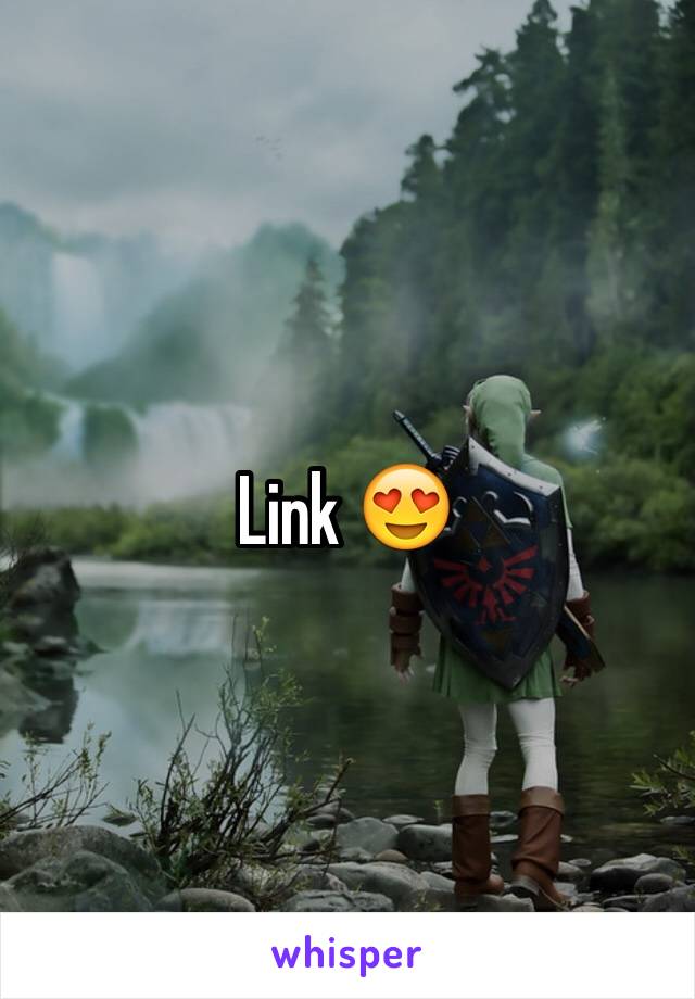Link 😍