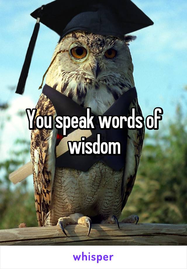 You speak words of wisdom