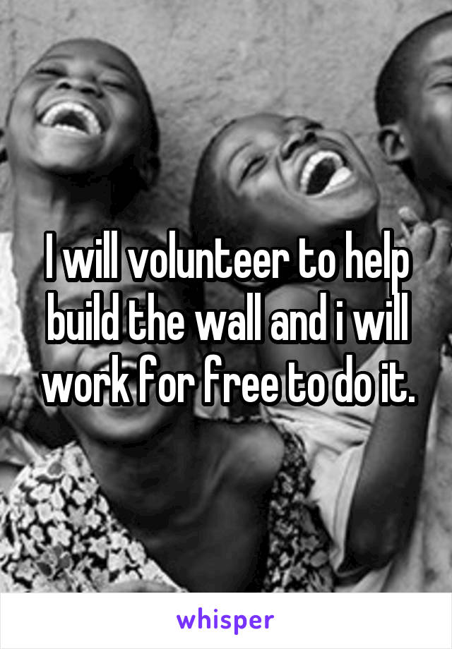 I will volunteer to help build the wall and i will work for free to do it.