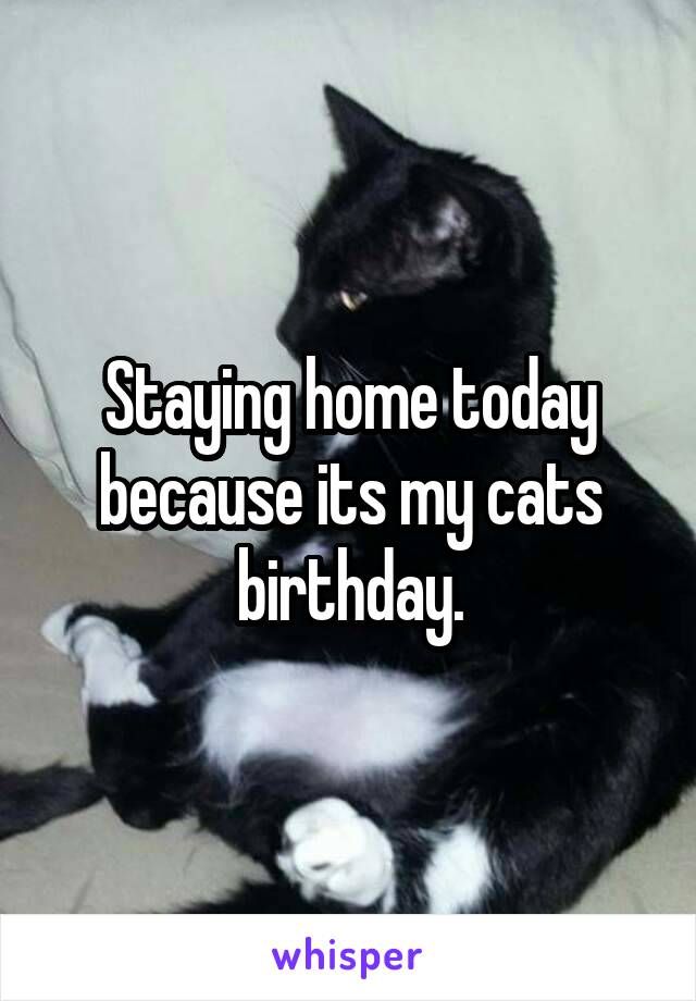 Staying home today because its my cats birthday.