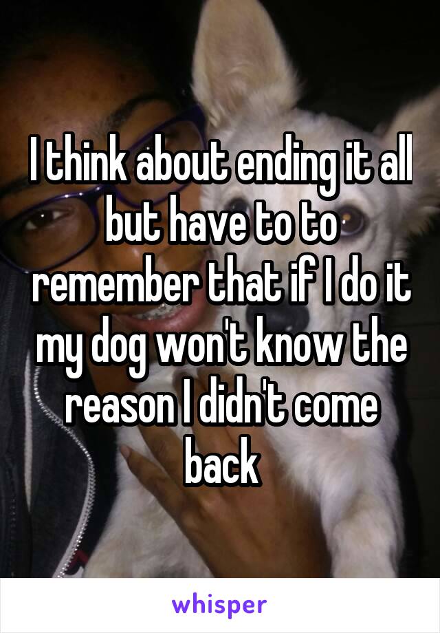 I think about ending it all but have to to remember that if I do it my dog won't know the reason I didn't come back