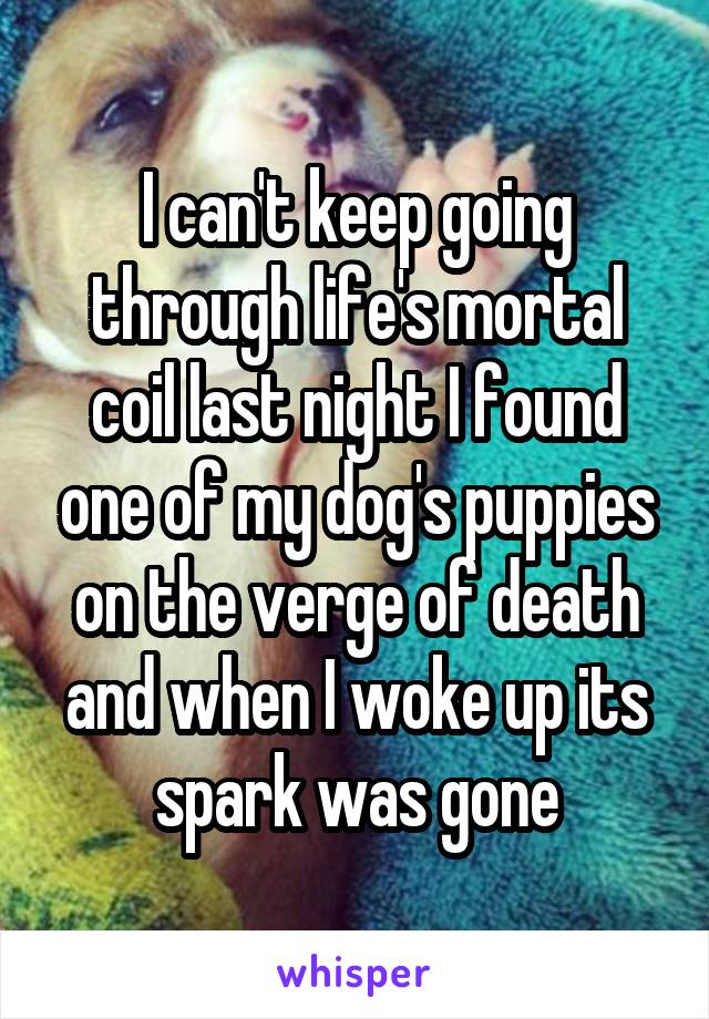 I can't keep going through life's mortal coil last night I found one of my dog's puppies on the verge of death and when I woke up its spark was gone