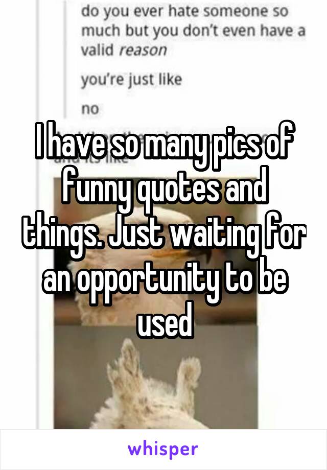 I have so many pics of funny quotes and things. Just waiting for an opportunity to be used