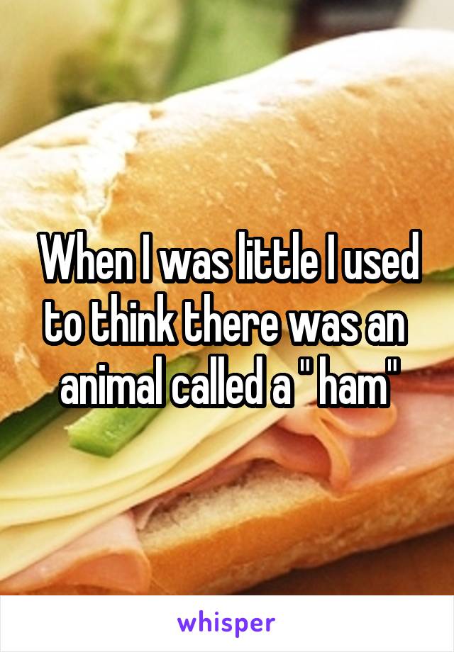 When I was little I used to think there was an  animal called a " ham"