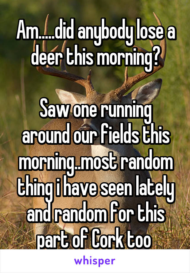 Am.....did anybody lose a deer this morning?

Saw one running around our fields this morning..most random thing i have seen lately and random for this part of Cork too 