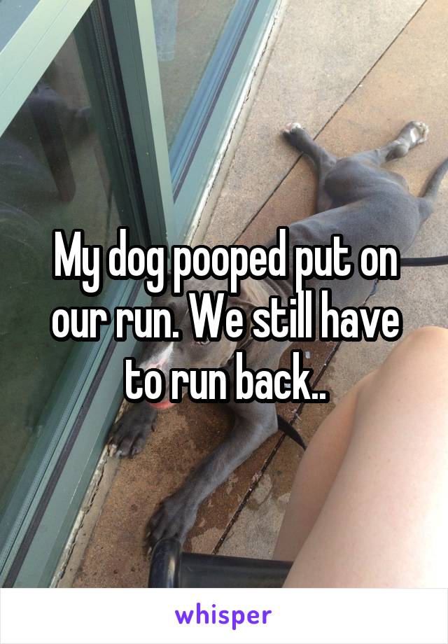 My dog pooped put on our run. We still have to run back..