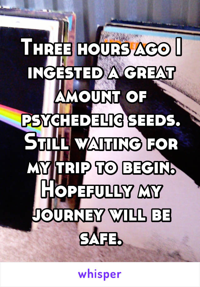 Three hours ago I ingested a great amount of psychedelic seeds. Still waiting for my trip to begin.
Hopefully my journey will be safe.