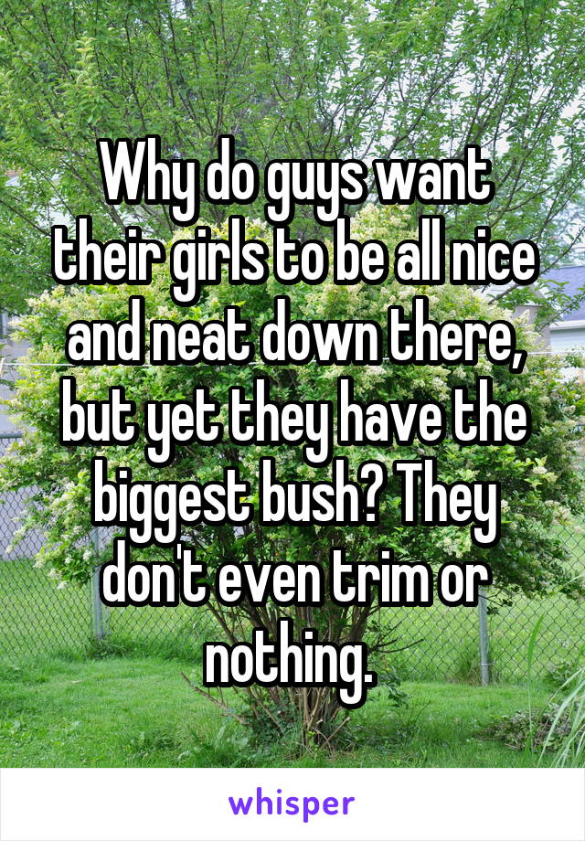 Why do guys want their girls to be all nice and neat down there, but yet they have the biggest bush? They don't even trim or nothing. 