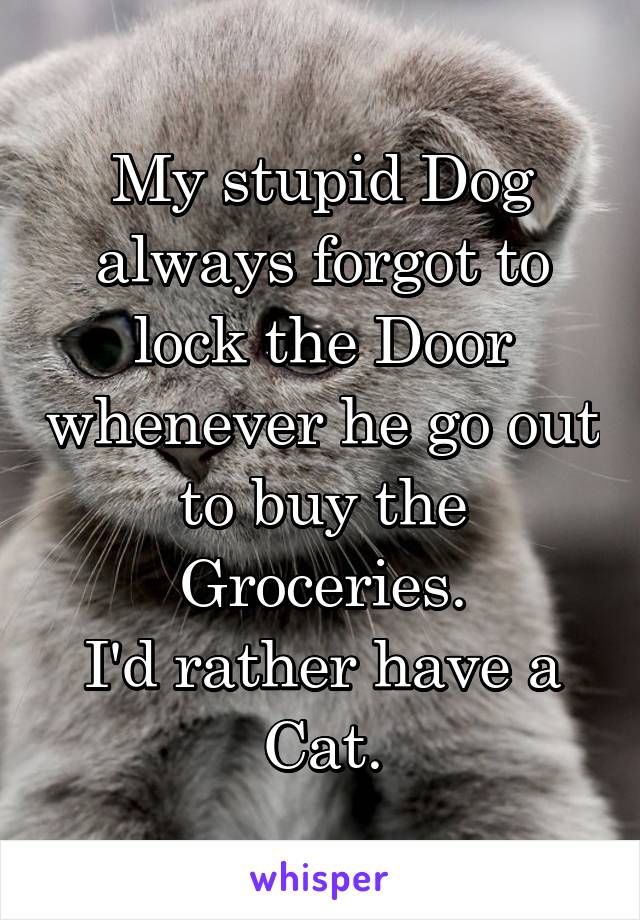 My stupid Dog always forgot to lock the Door whenever he go out to buy the Groceries.
I'd rather have a Cat.