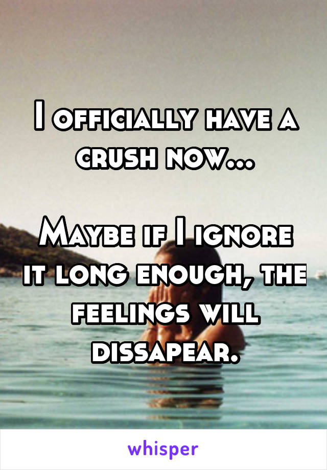 I officially have a crush now...

Maybe if I ignore it long enough, the feelings will dissapear.