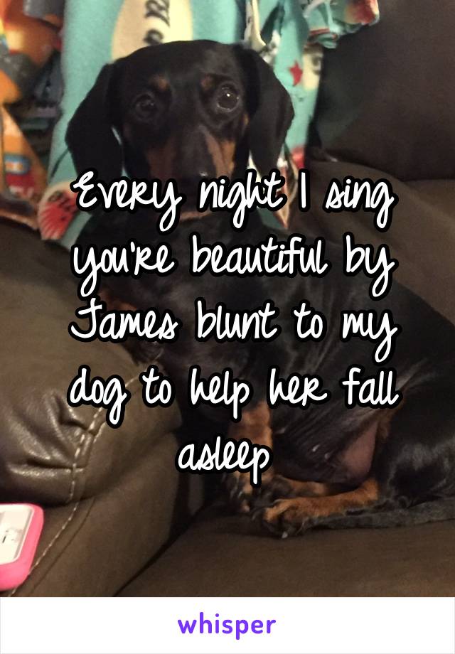 Every night I sing you're beautiful by James blunt to my dog to help her fall asleep 