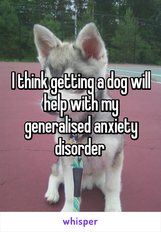 I think getting a dog will help with my generalised anxiety disorder 