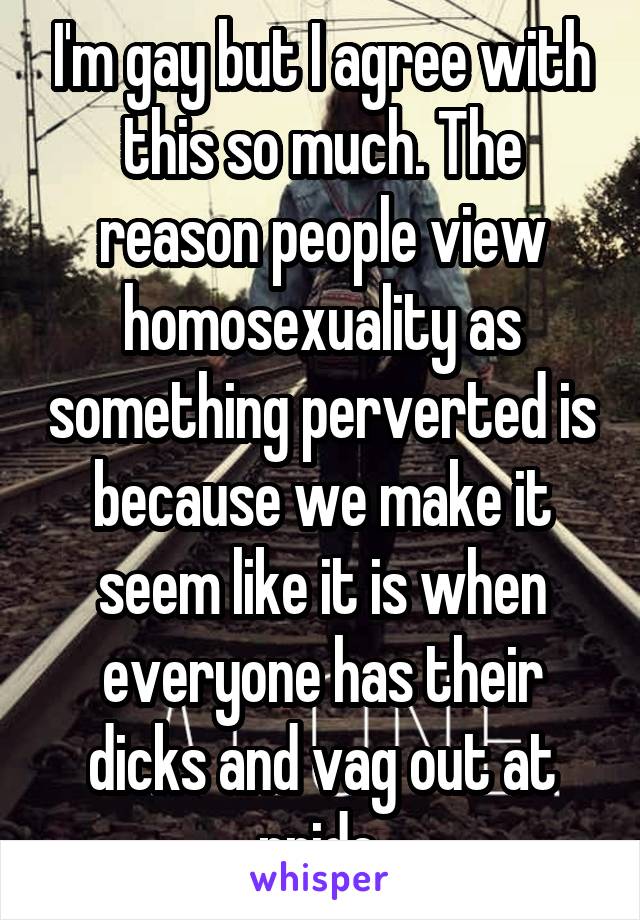 I'm gay but I agree with this so much. The reason people view homosexuality as something perverted is because we make it seem like it is when everyone has their dicks and vag out at pride.