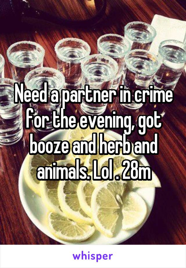 Need a partner in crime for the evening, got booze and herb and animals. Lol . 28m