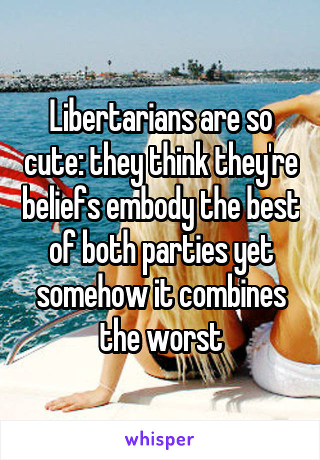 Libertarians are so cute: they think they're beliefs embody the best of both parties yet somehow it combines the worst