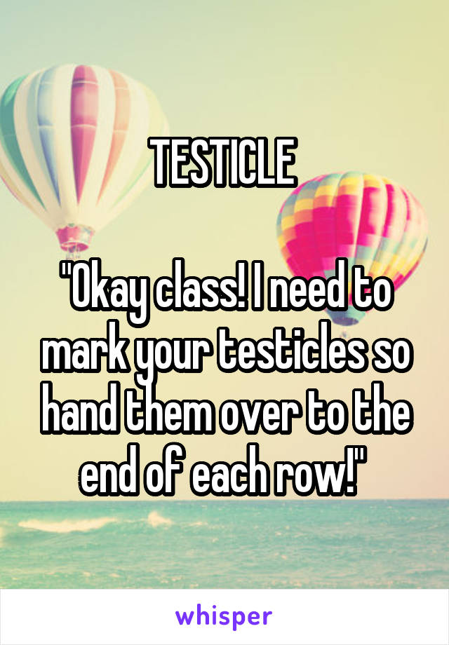 TESTICLE 

"Okay class! I need to mark your testicles so hand them over to the end of each row!" 