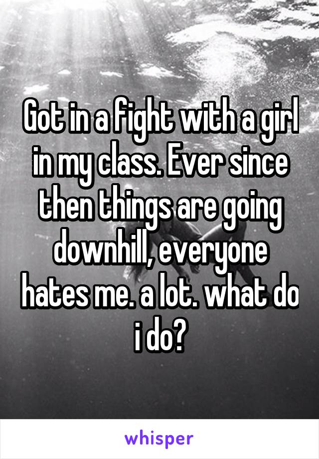 Got in a fight with a girl in my class. Ever since then things are going downhill, everyone hates me. a lot. what do i do?