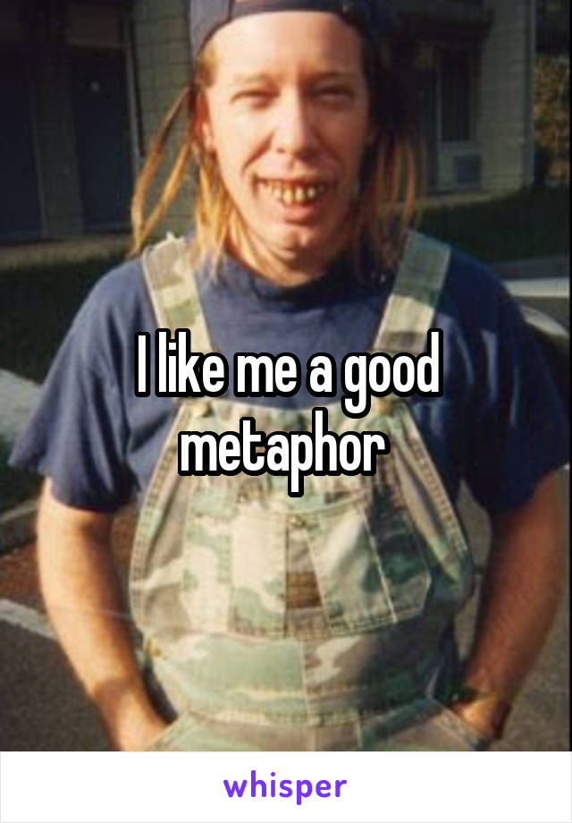 I like me a good metaphor 