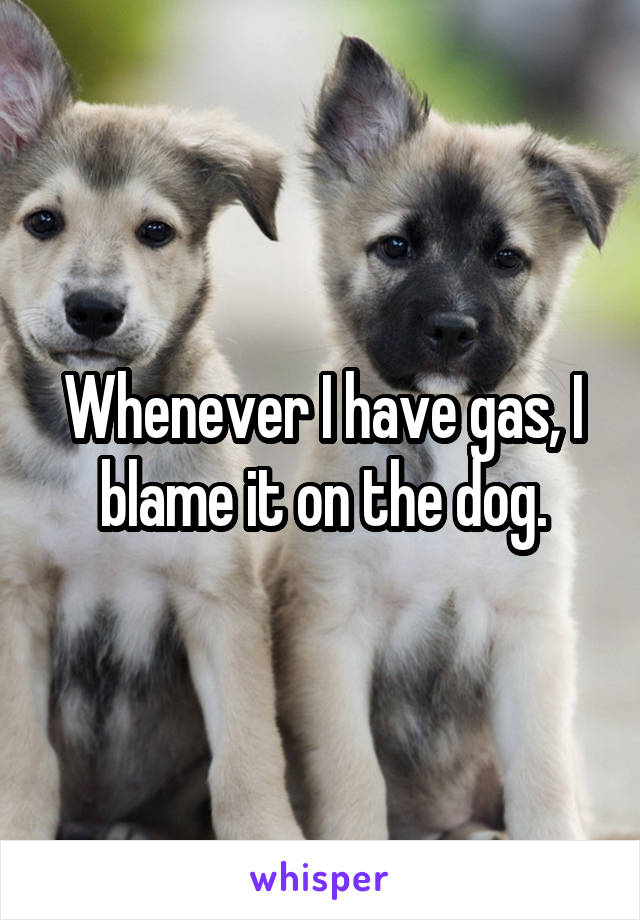 Whenever I have gas, I blame it on the dog.