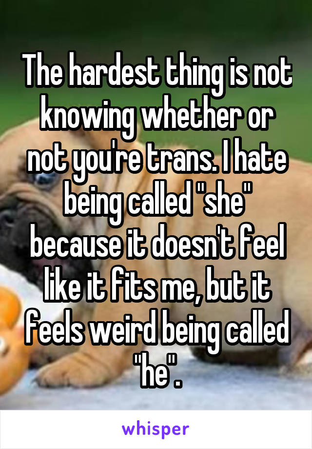 The hardest thing is not knowing whether or not you're trans. I hate being called "she" because it doesn't feel like it fits me, but it feels weird being called "he".