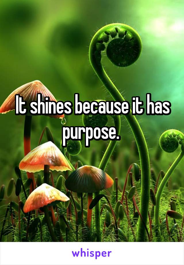 It shines because it has purpose. 
