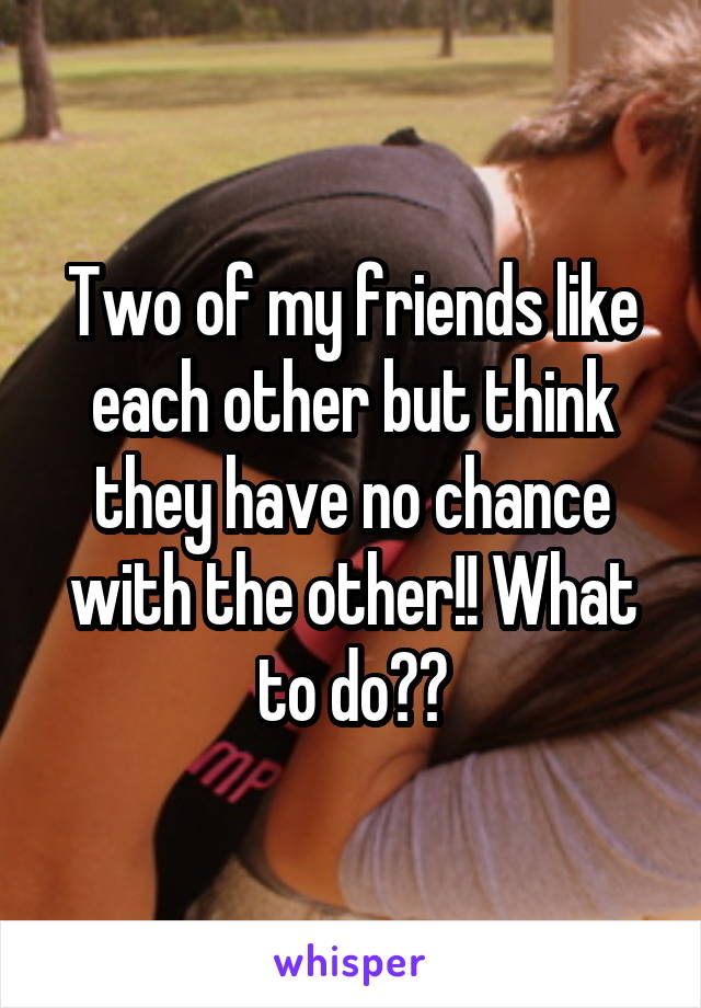 Two of my friends like each other but think they have no chance with the other!! What to do??