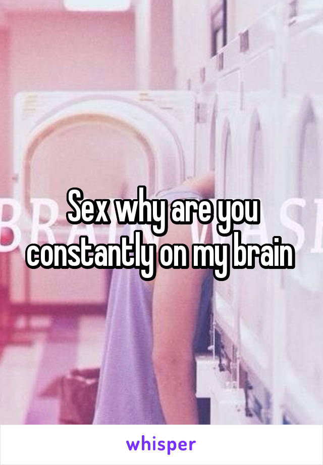 Sex why are you constantly on my brain 