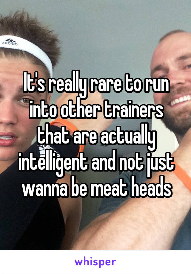 It's really rare to run into other trainers that are actually intelligent and not just wanna be meat heads