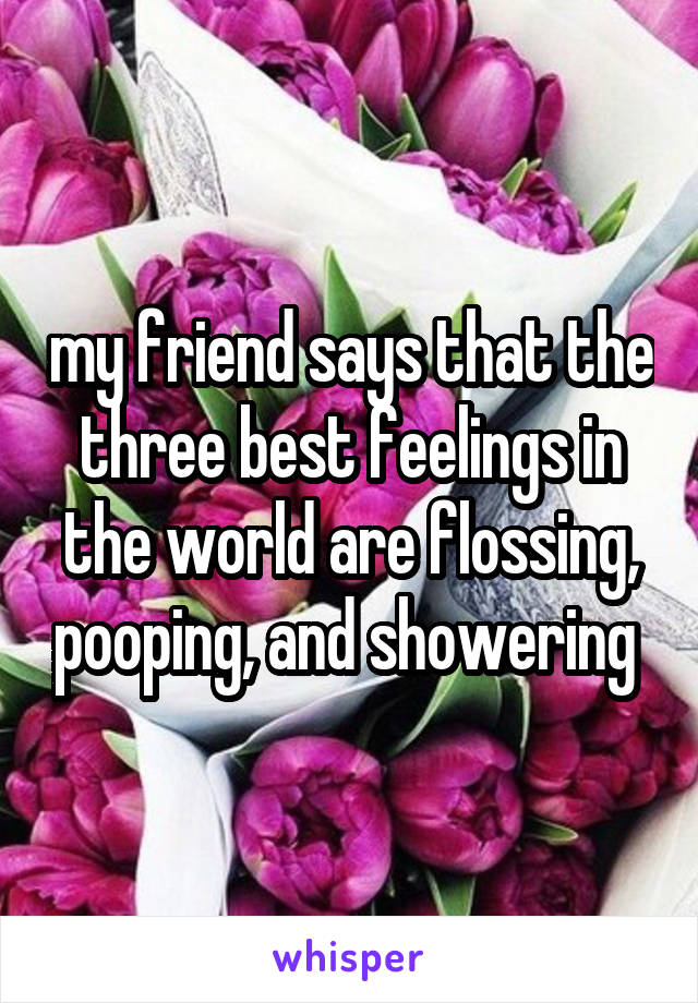 my friend says that the three best feelings in the world are flossing, pooping, and showering 