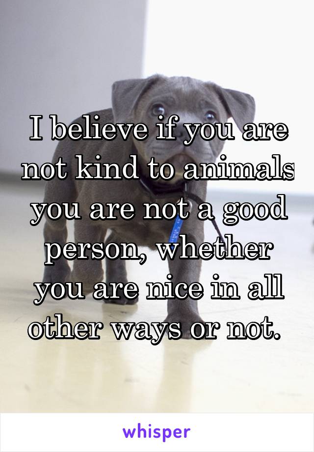 I believe if you are not kind to animals you are not a good person, whether you are nice in all other ways or not. 