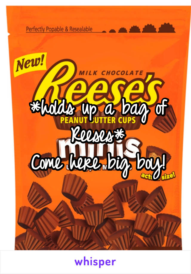 *holds up a bag of Reeses*
Come here big boy!