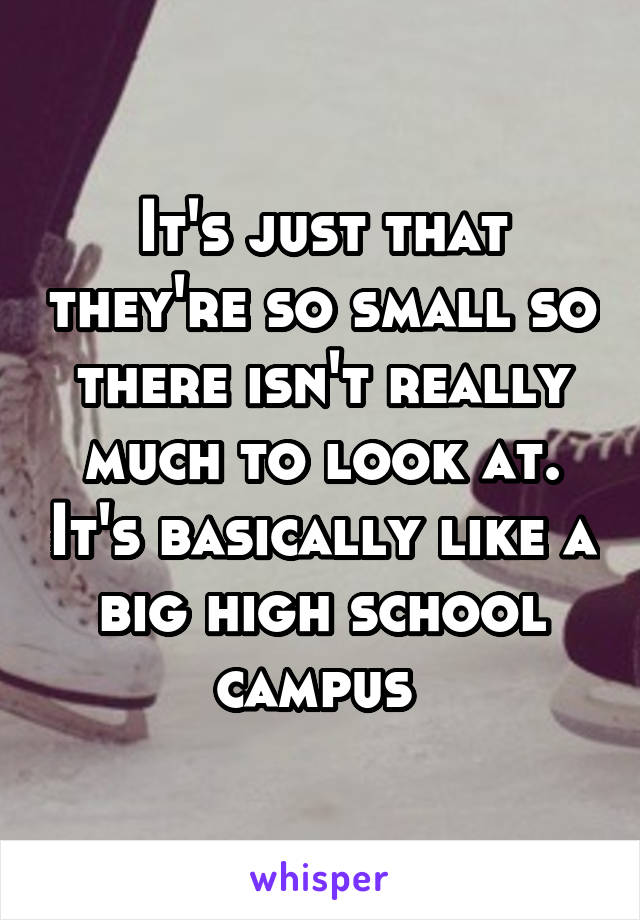 It's just that they're so small so there isn't really much to look at. It's basically like a big high school campus 